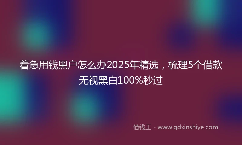 着急用钱黑户怎么办2025年精选，梳理5个借款无视黑白100%秒过