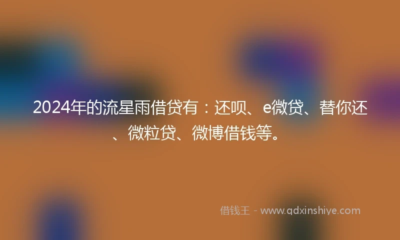 2024年的流星雨借贷有：还呗、e微贷、替你还、微粒贷、微博借钱等。