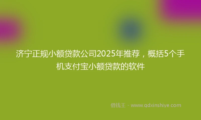 济宁正规小额贷款公司2025年推荐，概括5个手机支付宝小额贷款的软件