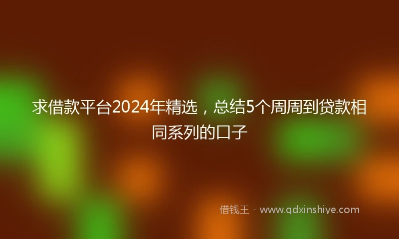 求借款平台2024年精选，总结5个周周到贷款相同系列的口子