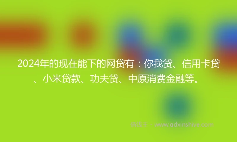 2024年的现在能下的网贷有：你我贷、信用卡贷、小米贷款、功夫贷、中原消费金融等。