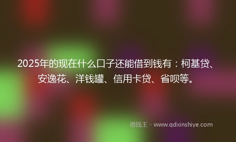 2025年的现在什么口子还能借到钱有：柯基贷、安逸花、洋钱罐、信用卡贷、省呗等。