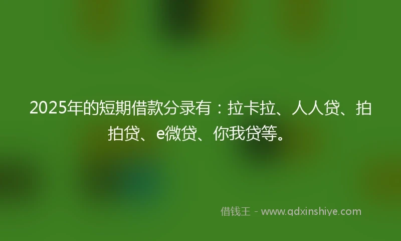 2025年的短期借款分录有：拉卡拉、人人贷、拍拍贷、e微贷、你我贷等。