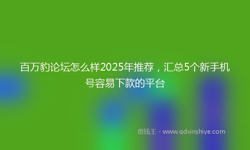 百万豹论坛怎么样2025年推荐，汇总5个新手机号容易下款的平台