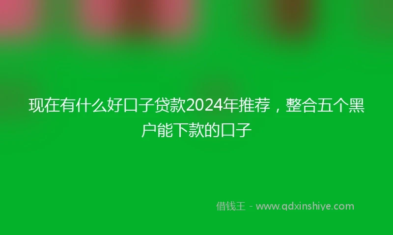 现在有什么好口子贷款2024年推荐，整合五个黑户能下款的口子