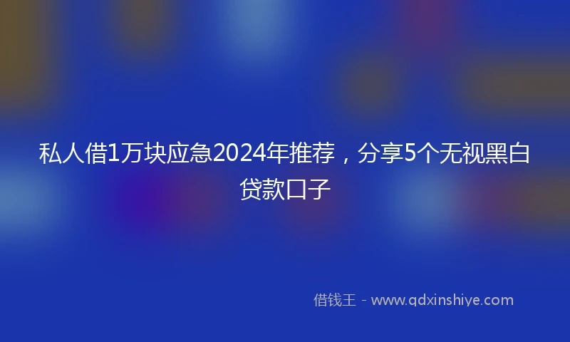 私人借1万块应急2024年推荐，分享5个无视黑白贷款口子