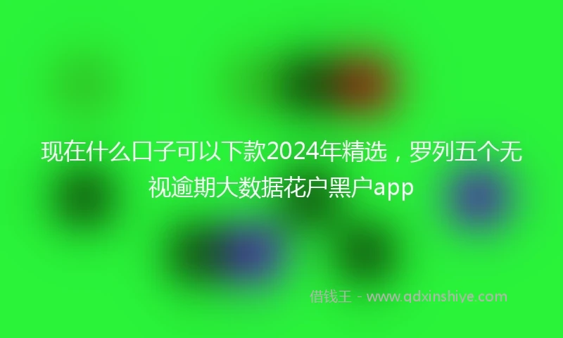 现在什么口子可以下款2024年精选，罗列五个无视逾期大数据花户黑户app