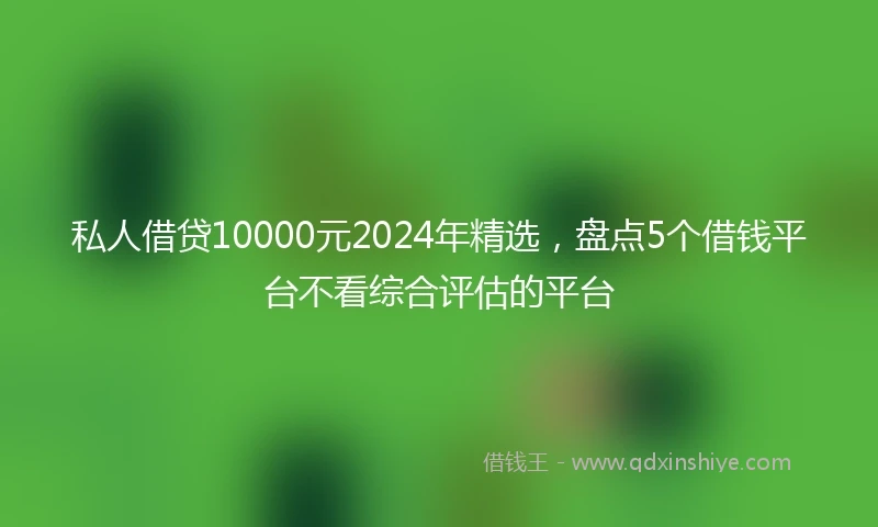 私人借贷10000元2024年精选，盘点5个借钱平台不看综合评估的平台