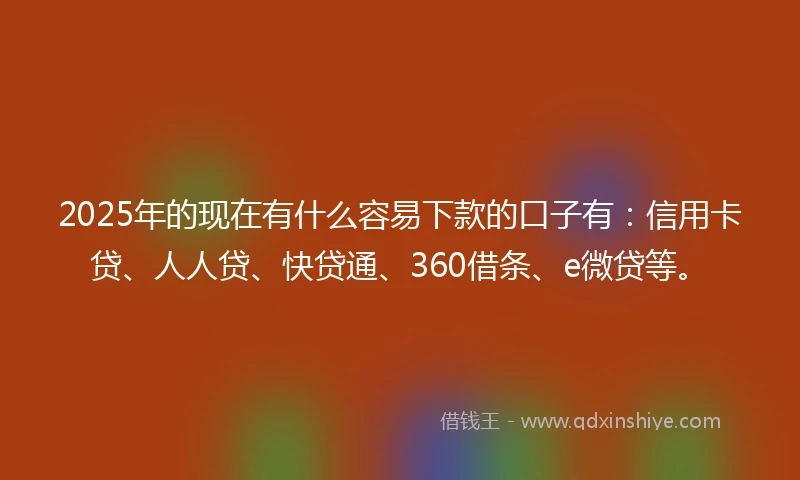 2025年的现在有什么容易下款的口子有：信用卡贷、人人贷、快贷通、360借条、e微贷等。