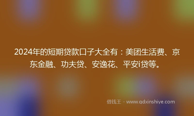 2024年的短期贷款口子大全有：美团生活费、京东金融、功夫贷、安逸花、平安i贷等。