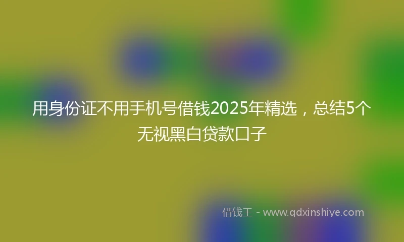 用身份证不用手机号借钱2025年精选，总结5个无视黑白贷款口子
