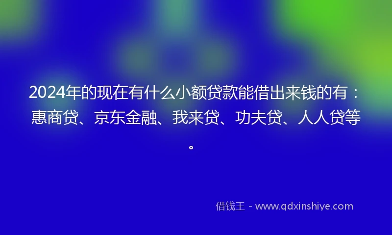 2024年的现在有什么小额贷款能借出来钱的有：惠商贷、京东金融、我来贷、功夫贷、人人贷等。
