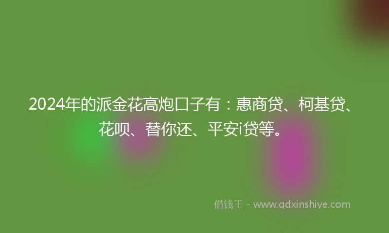 2024年的派金花高炮口子有：惠商贷、柯基贷、花呗、替你还、平安i贷等。