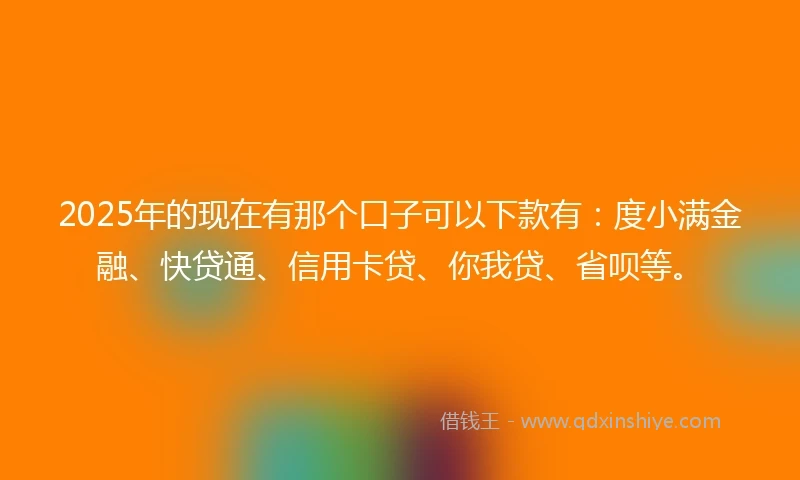 2025年的现在有那个口子可以下款有：度小满金融、快贷通、信用卡贷、你我贷、省呗等。