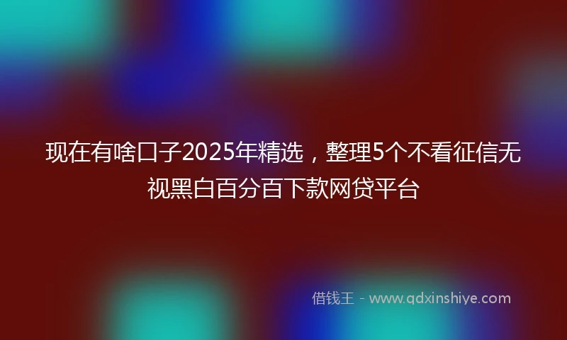 现在有啥口子2025年精选,整理5个不看征信无视黑白百分百下款网贷平台
