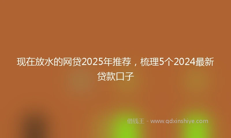 现在放水的网贷2025年推荐，梳理5个2024最新贷款口子