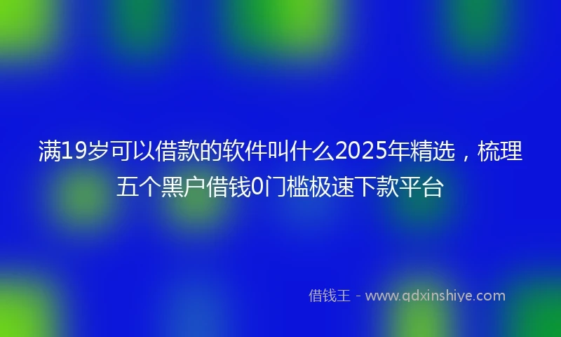 满19岁可以借款的软件叫什么2025年精选，梳理五个黑户借钱0门槛极速下款平台