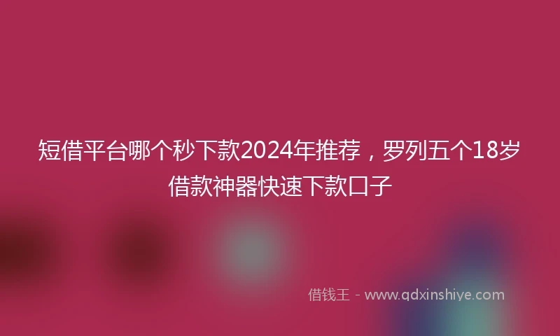 短借平台哪个秒下款2024年推荐，罗列五个18岁借款神器快速下款口子