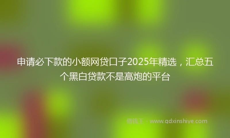 申请必下款的小额网贷口子2025年精选，汇总五个黑白贷款不是高炮的平台