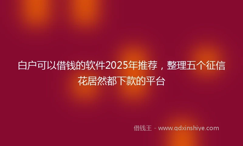 白户可以借钱的软件2025年推荐，整理五个征信花居然都下款的平台