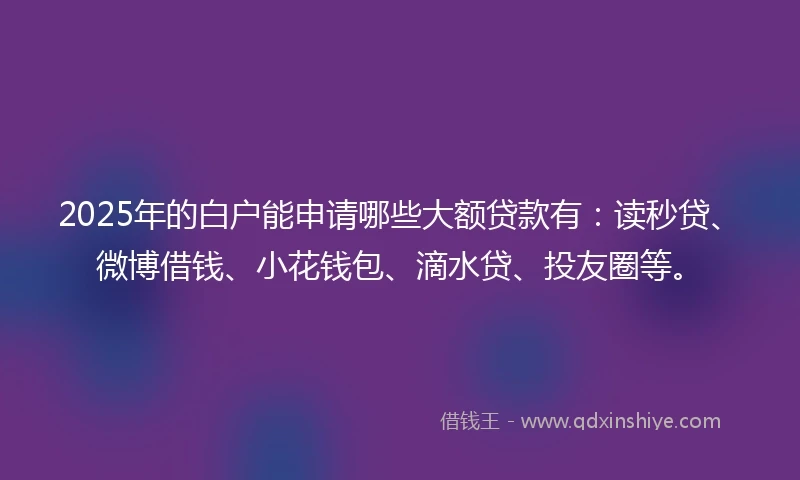 2025年的白户能申请哪些大额贷款有：读秒贷、微博借钱、小花钱包、滴水贷、投友圈等。