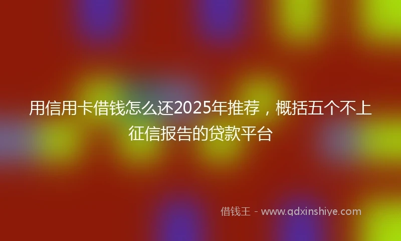 用信用卡借钱怎么还2025年推荐，概括五个不上征信报告的贷款平台