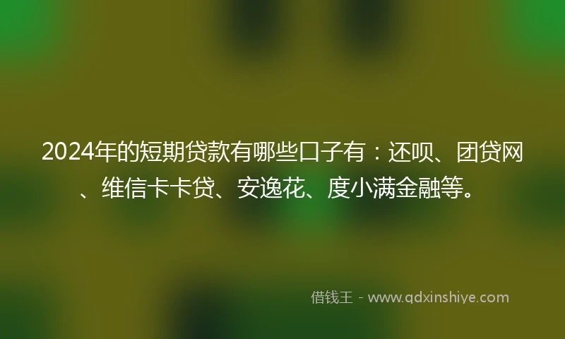 2024年的短期贷款有哪些口子有：还呗、团贷网、维信卡卡贷、安逸花、度小满金融等。