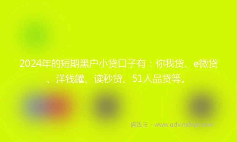 2024年的短期黑户小贷口子有：你我贷、e微贷、洋钱罐、读秒贷、51人品贷等。