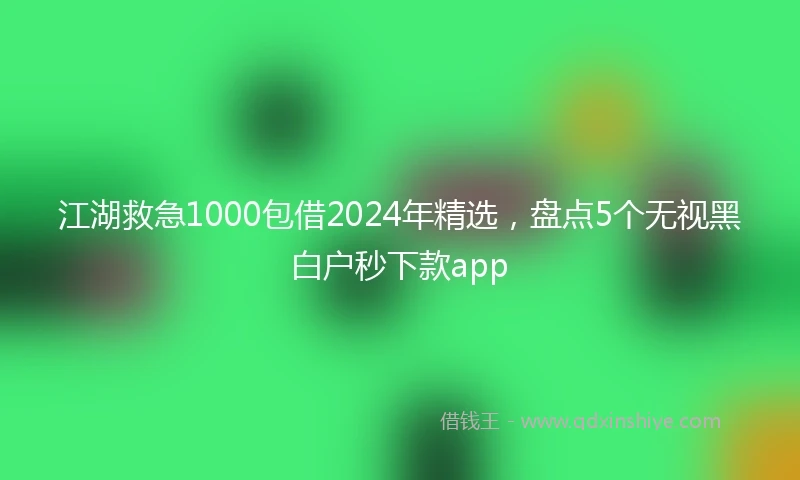 江湖救急1000包借2024年精选，盘点5个无视黑白户秒下款app
