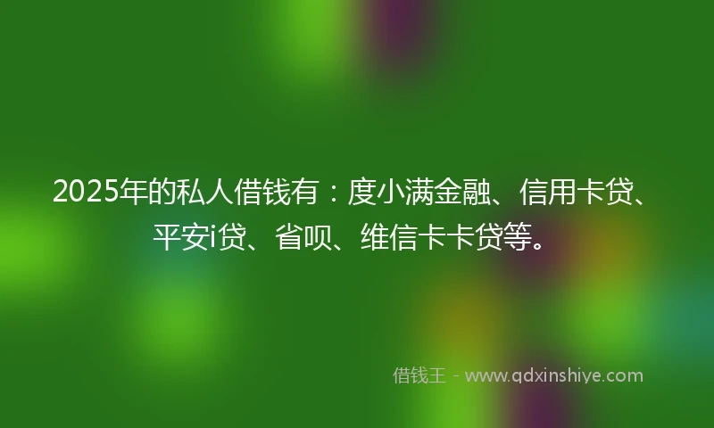 2025年的私人借钱有：度小满金融、信用卡贷、平安i贷、省呗、维信卡卡贷等。