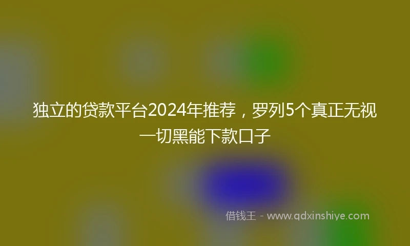 独立的贷款平台2024年推荐，罗列5个真正无视一切黑能下款口子
