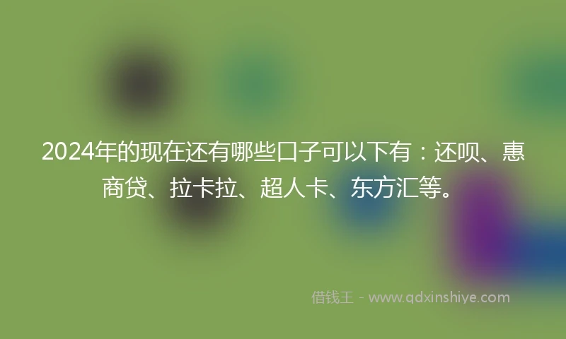 2024年的现在还有哪些口子可以下有：还呗、惠商贷、拉卡拉、超人卡、东方汇等。