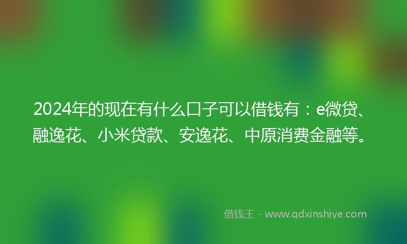 2024年的现在有什么口子可以借钱有：e微贷、融逸花、小米贷款、安逸花、中原消费金融等。