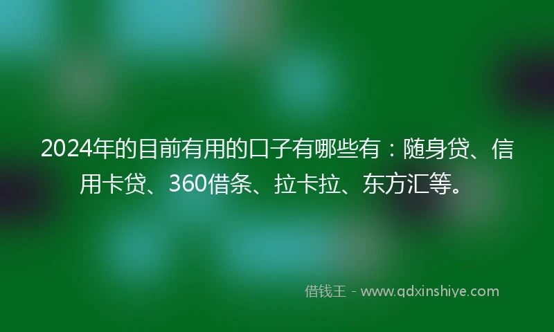 2024年的目前有用的口子有哪些有：随身贷、信用卡贷、360借条、拉卡拉、东方汇等。