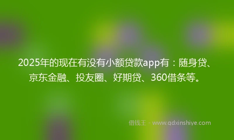 2025年的现在有没有小额贷款app有：随身贷、京东金融、投友圈、好期贷、360借条等。