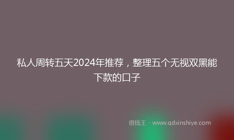 私人周转五天2024年推荐，整理五个无视双黑能下款的口子