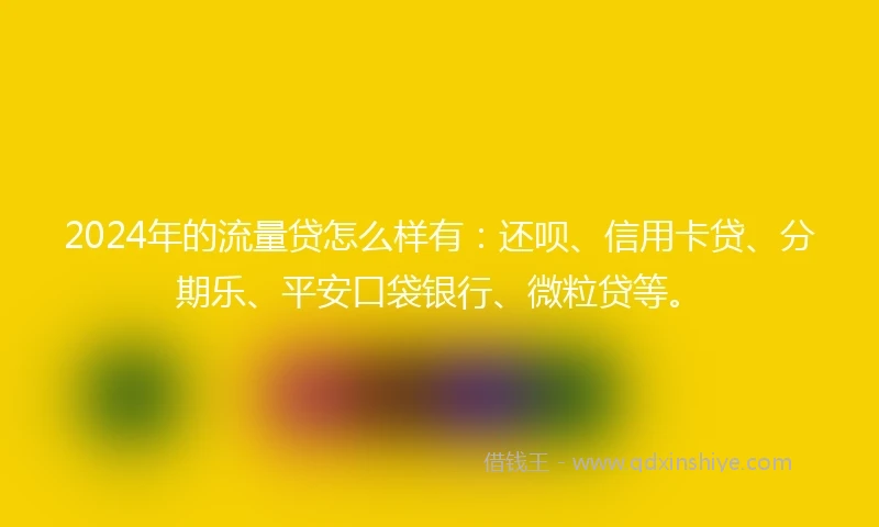 2024年的流量贷怎么样有：还呗、信用卡贷、分期乐、平安口袋银行、微粒贷等。