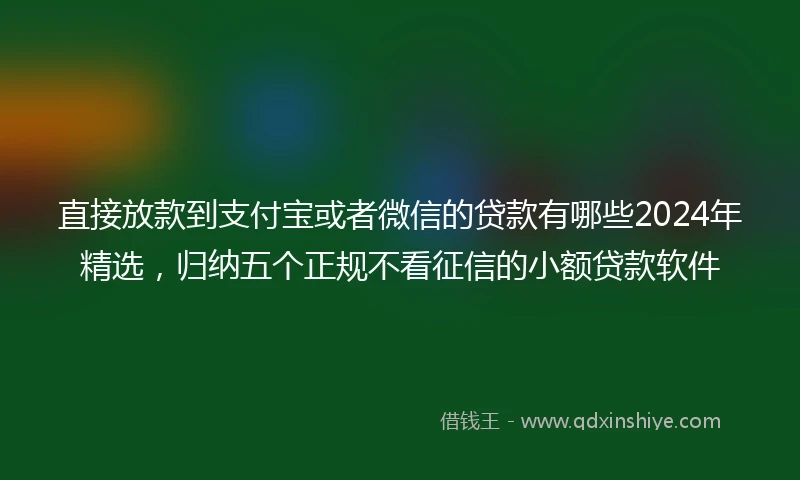 直接放款到支付宝或者微信的贷款有哪些2024年精选，归纳五个正规不看征信的小额贷款软件