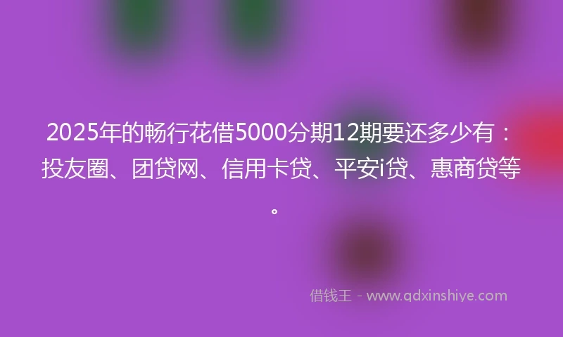 2025年的畅行花借5000分期12期要还多少有：投友圈、团贷网、信用卡贷、平安i贷、惠商贷等。