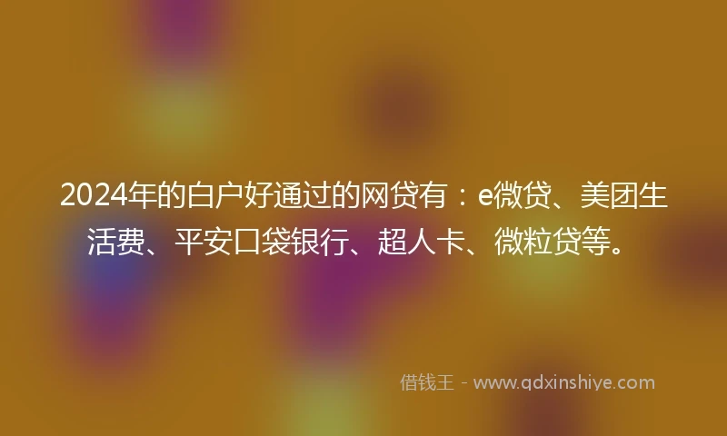 2024年的白户好通过的网贷有：e微贷、美团生活费、平安口袋银行、超人卡、微粒贷等。