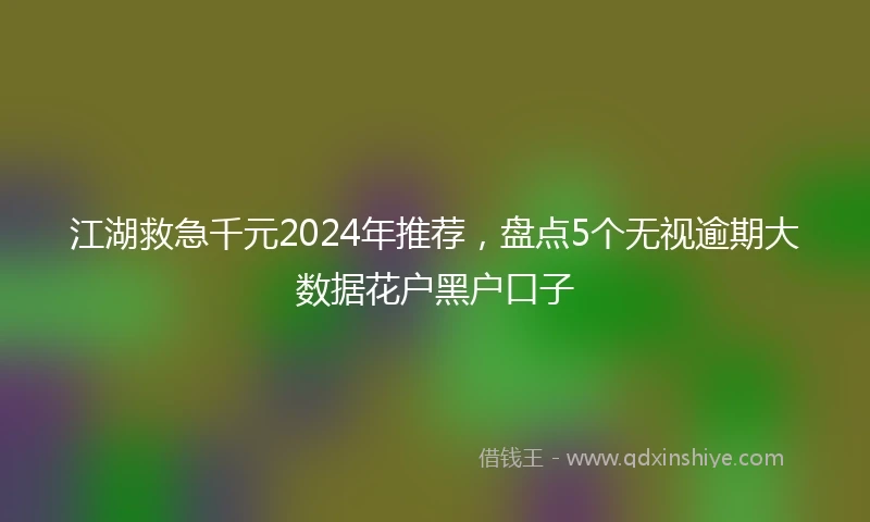 江湖救急千元2024年推荐，盘点5个无视逾期大数据花户黑户口子