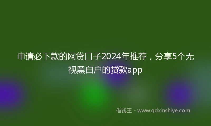 申请必下款的网贷口子2024年推荐，分享5个无视黑白户的贷款app