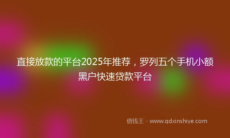 直接放款的平台2025年推荐，罗列五个手机小额黑户快速贷款平台