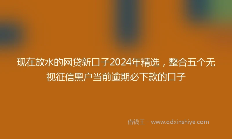 现在放水的网贷新口子2024年精选，整合五个无视征信黑户当前逾期必下款的口子