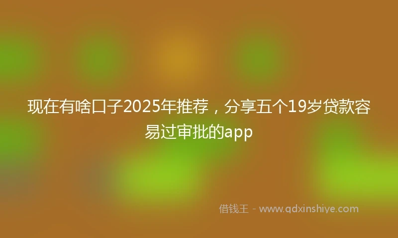 现在有啥口子2025年推荐，分享五个19岁贷款容易过审批的app