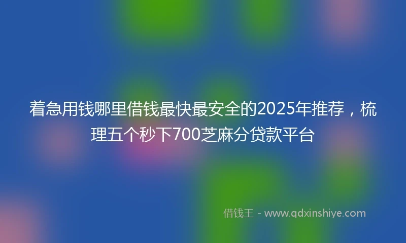 着急用钱哪里借钱最快最安全的2025年推荐，梳理五个秒下700芝麻分贷款平台