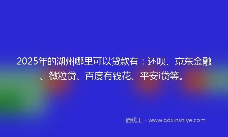 2025年的湖州哪里可以贷款有：还呗、京东金融、微粒贷、百度有钱花、平安i贷等。