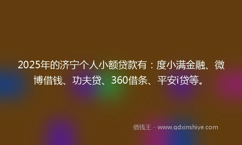 2025年的济宁个人小额贷款有：度小满金融、微博借钱、功夫贷、360借条、平安i贷等。