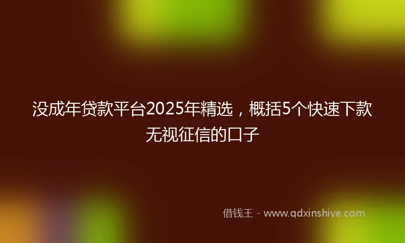 没成年贷款平台2025年精选，概括5个快速下款无视征信的口子