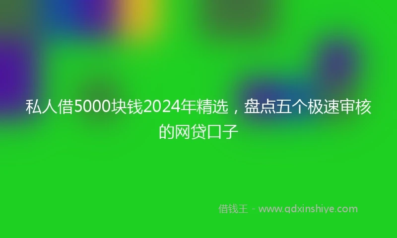 私人借5000块钱2024年精选，盘点五个极速审核的网贷口子